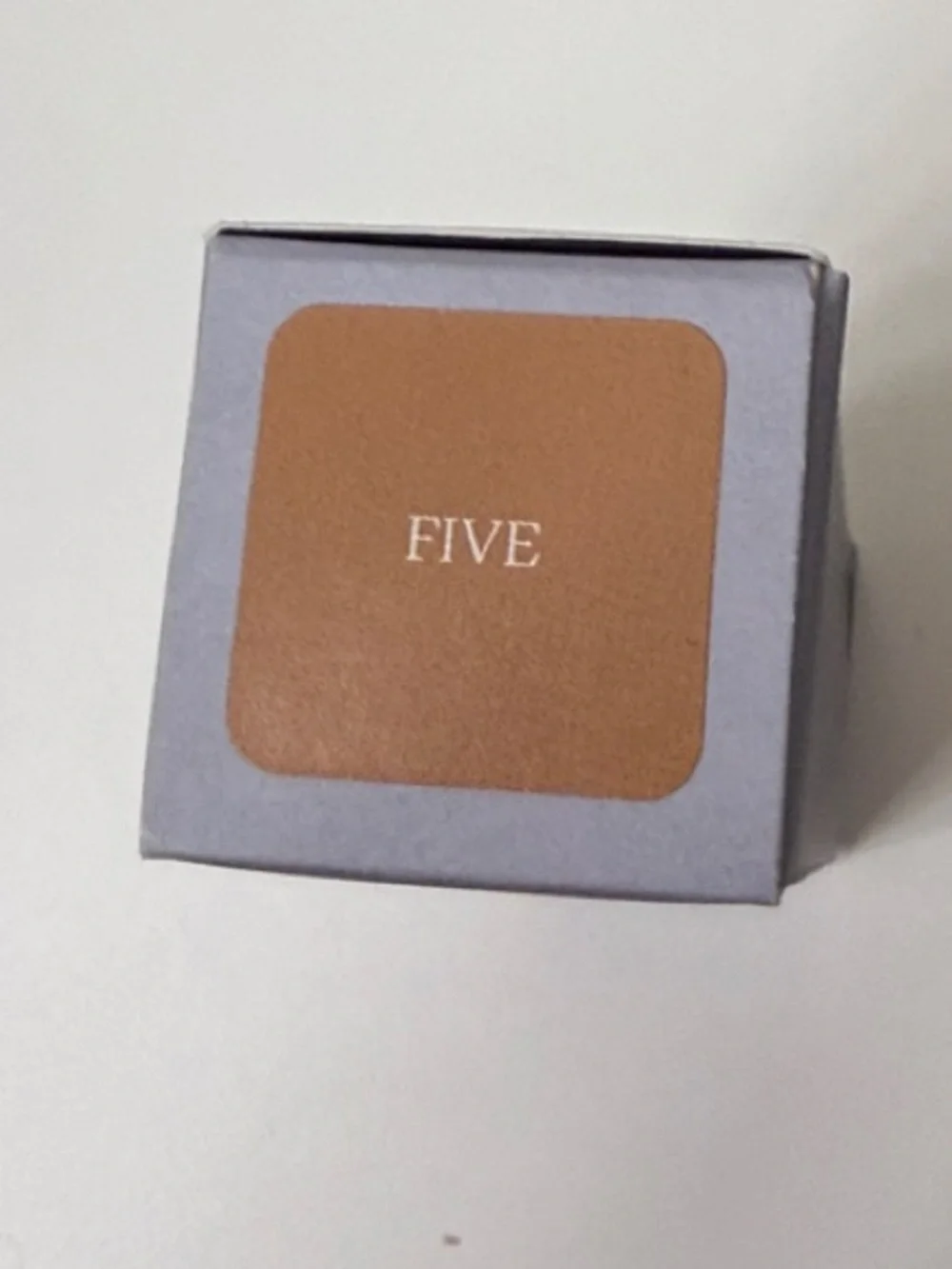 Saie Slip Tint -No 5
